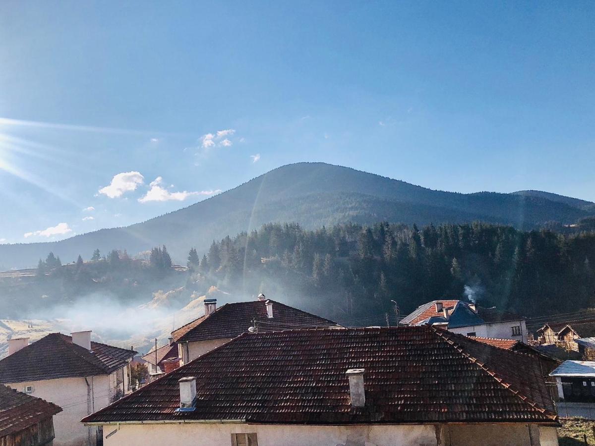 Къща За Гости "Домът На Краси" Yagodina Εξωτερικό φωτογραφία