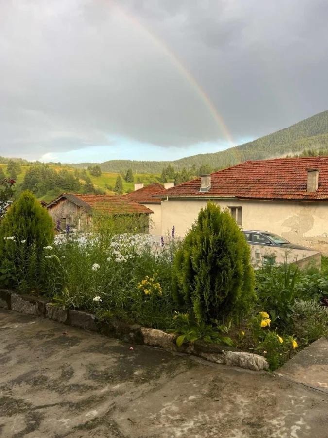 Къща За Гости "Домът На Краси" Yagodina Εξωτερικό φωτογραφία