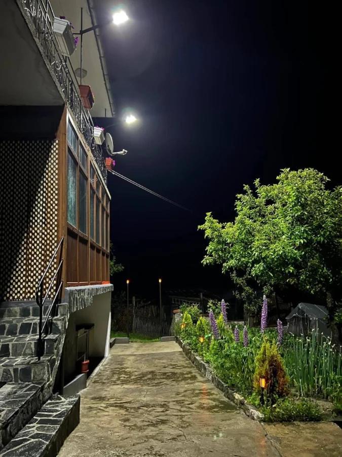Къща За Гости "Домът На Краси" Yagodina Εξωτερικό φωτογραφία
